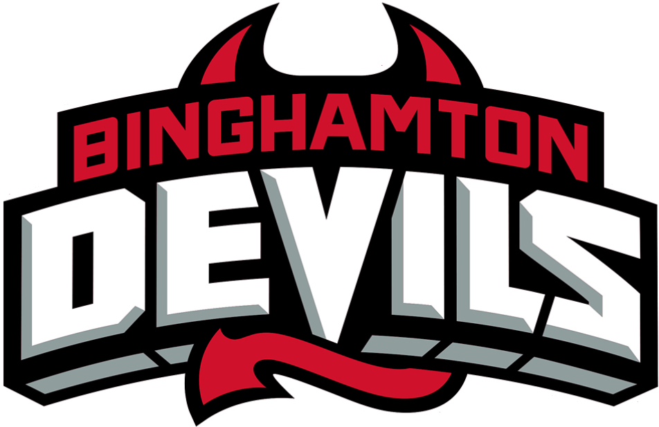 Binghamton Devils 2017-Pres Wordmark Logo iron on heat transfer...